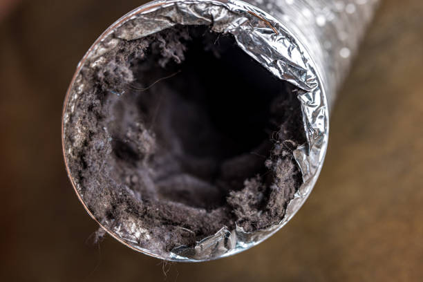 Best HVAC Duct Inspection Services  in Hillsboro Beach, FL