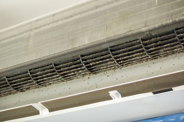 Best Air Duct Cleaning Company Near Me  in Hillsboro Beach, FL